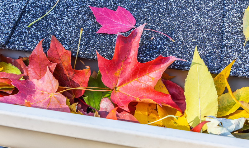 Fall Roof Maintenance Blog Header. Fall Leaves in Gutters