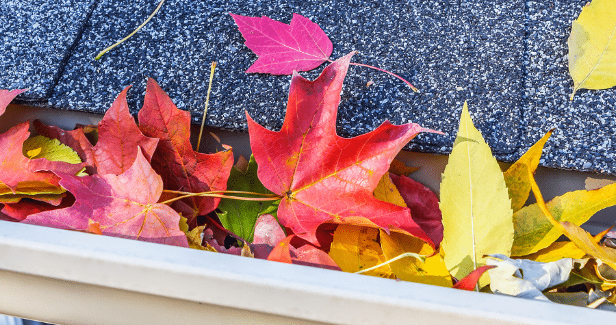 Fall Roof Maintenance Blog Header. Fall Leaves in Gutters